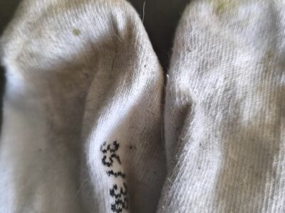 Lecker Socken